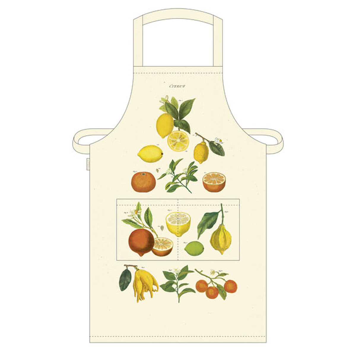 Mandil Citrus