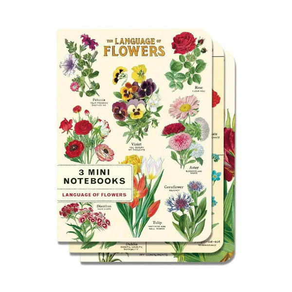 Mini Libreta Set de 3 Language of Flowers