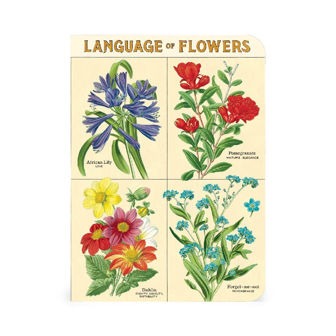 Mini Libreta Set de 3 Language of Flowers
