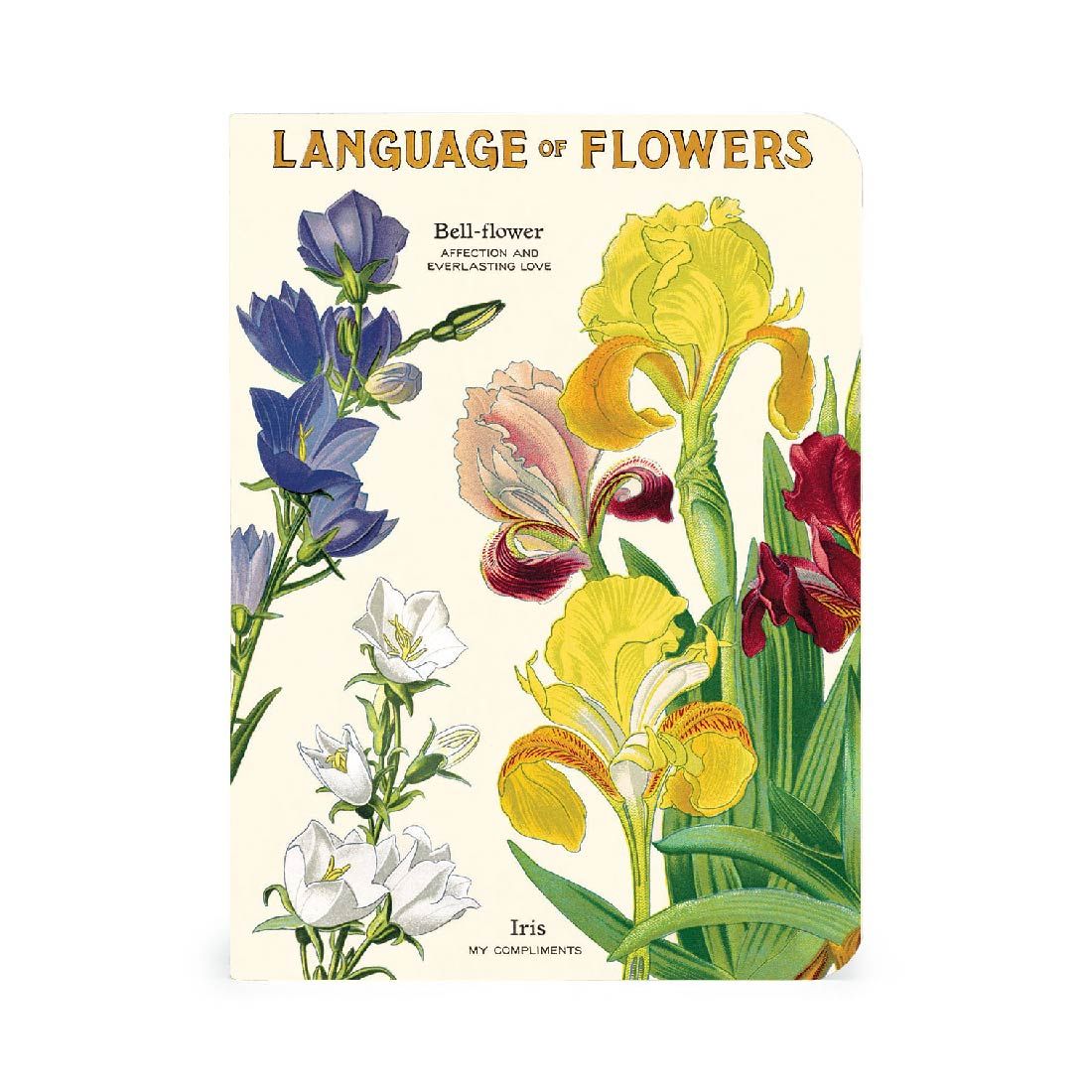 Mini Libreta Set de 3 Language of Flowers