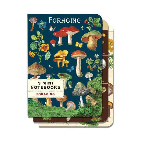 Mini Libreta Set de 3 Foraging
