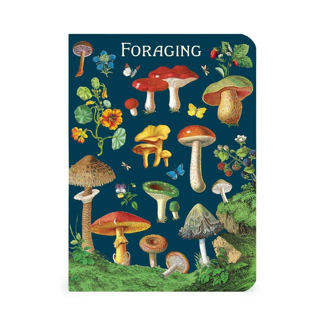 Mini Libreta Set de 3 Foraging