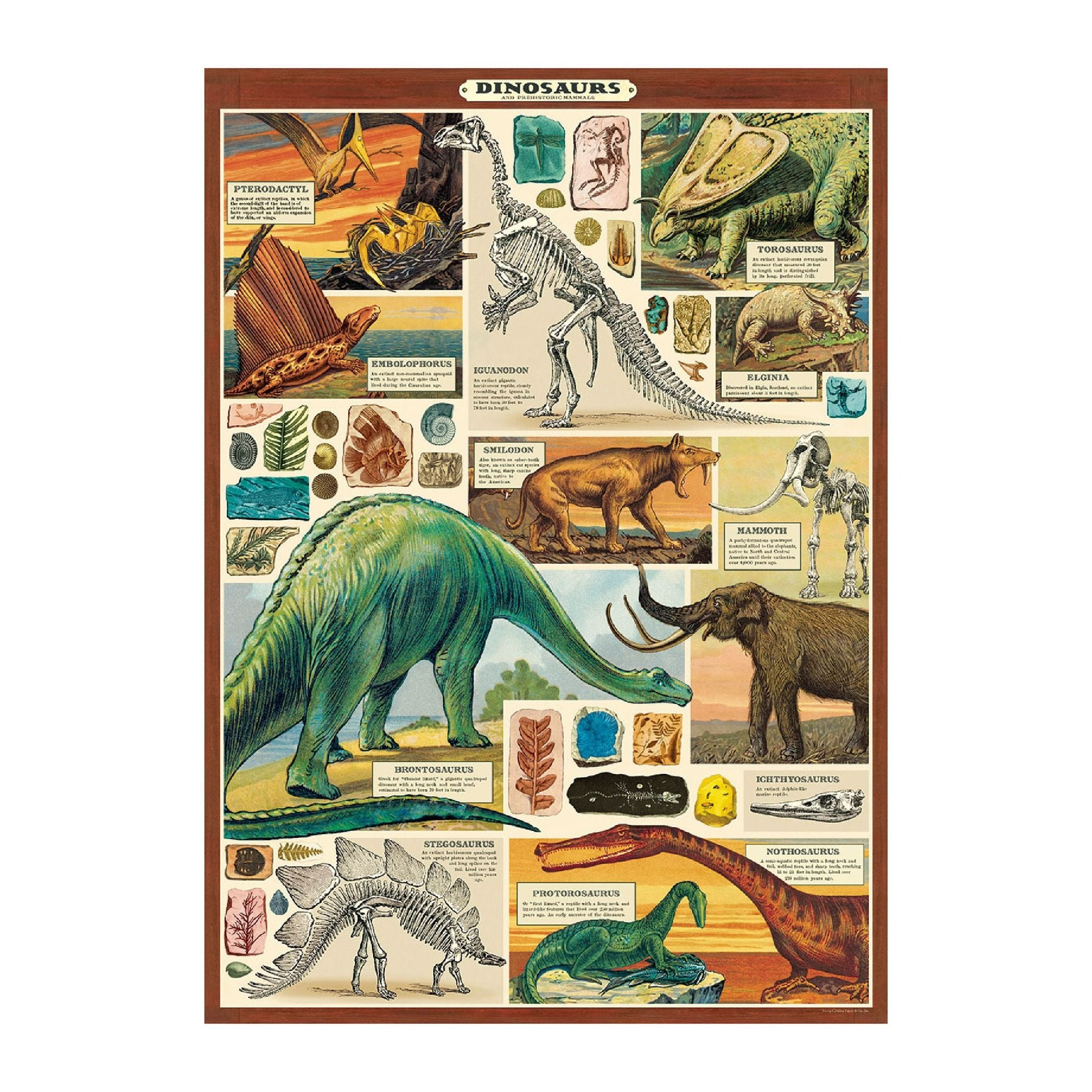 Póster decorativo en papel italiano Dinosaurs 2
