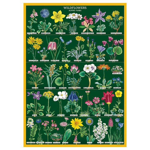 Póster decorativo en papel italiano Wildflowers 2