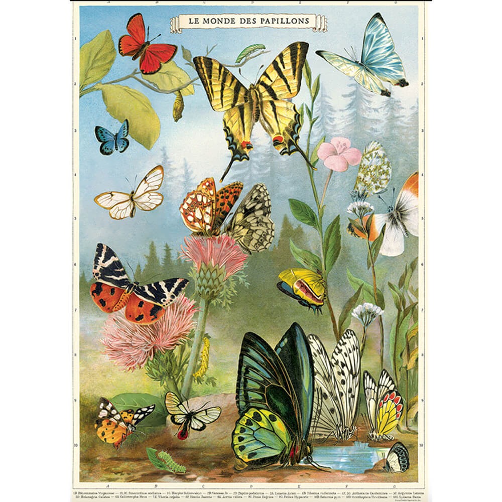Póster decorativo en papel italiano Butterflies 4