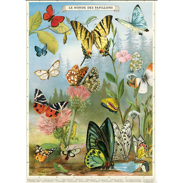 Póster decorativo en papel italiano Butterflies 4