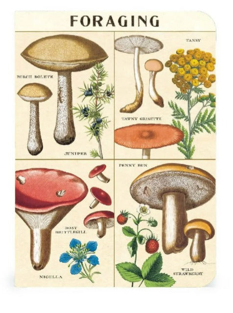 Mini Libreta Set de 3 Foraging