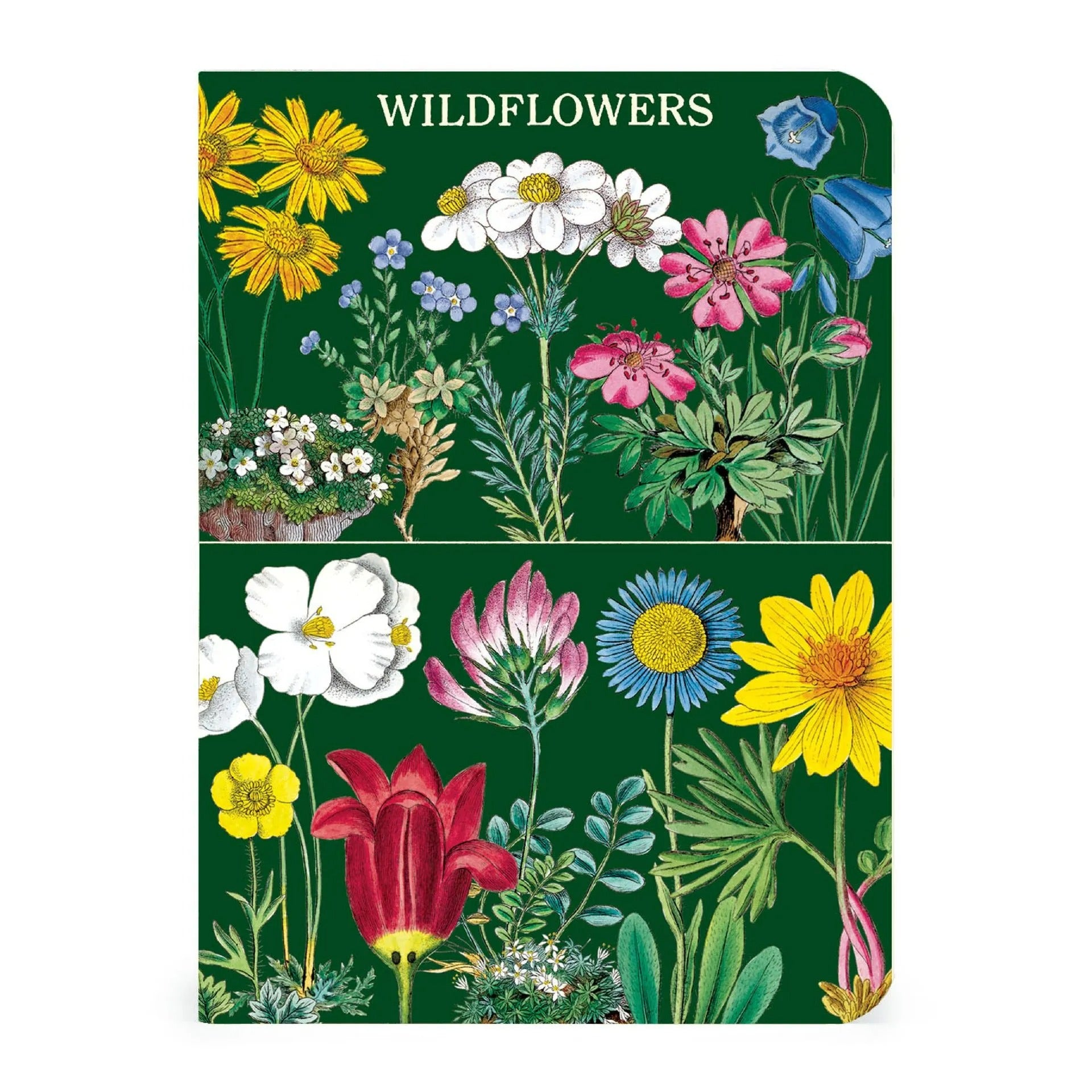 Mini Libreta Set de 3 Wildflowers 2