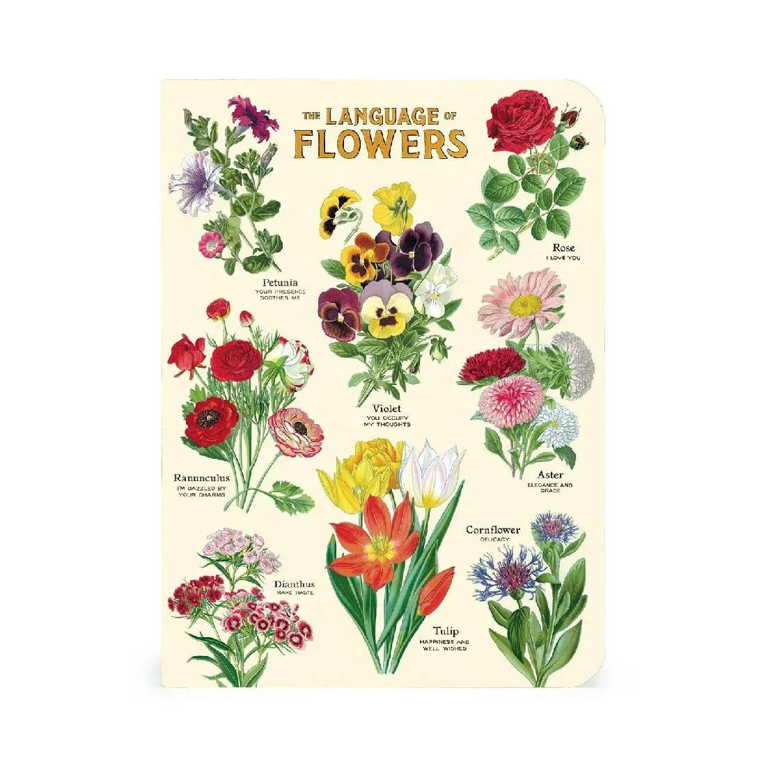 Mini Libreta Set de 3 Language of Flowers