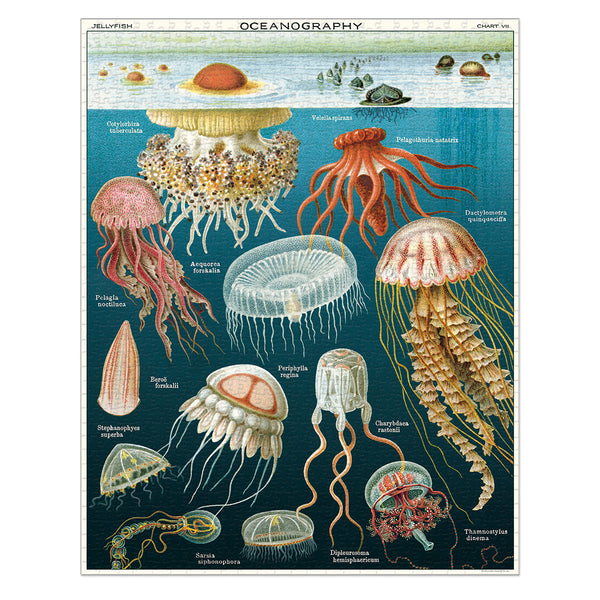 Rompecabezas Jelly Fish