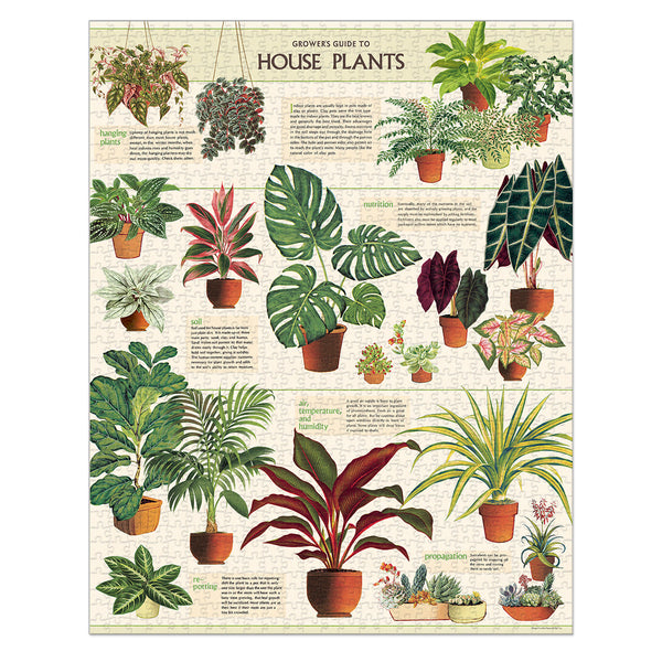 Rompecabezas House Plants