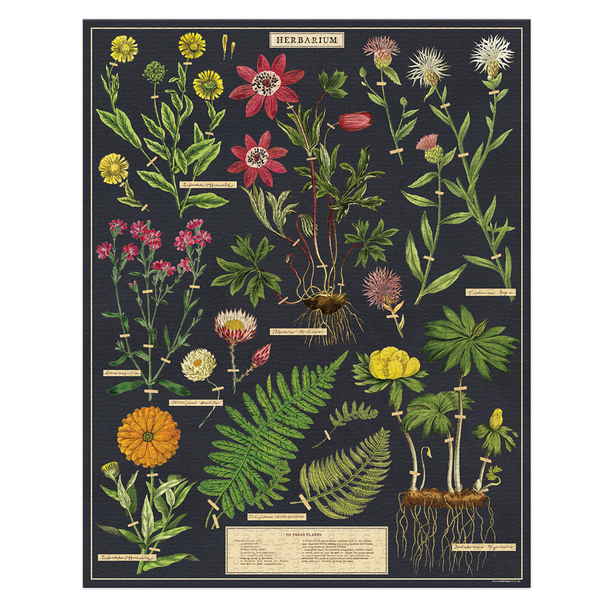 Rompecabezas Herbarium