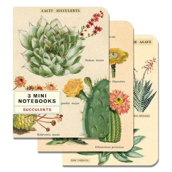Mini Libreta Set de 3 Succulents