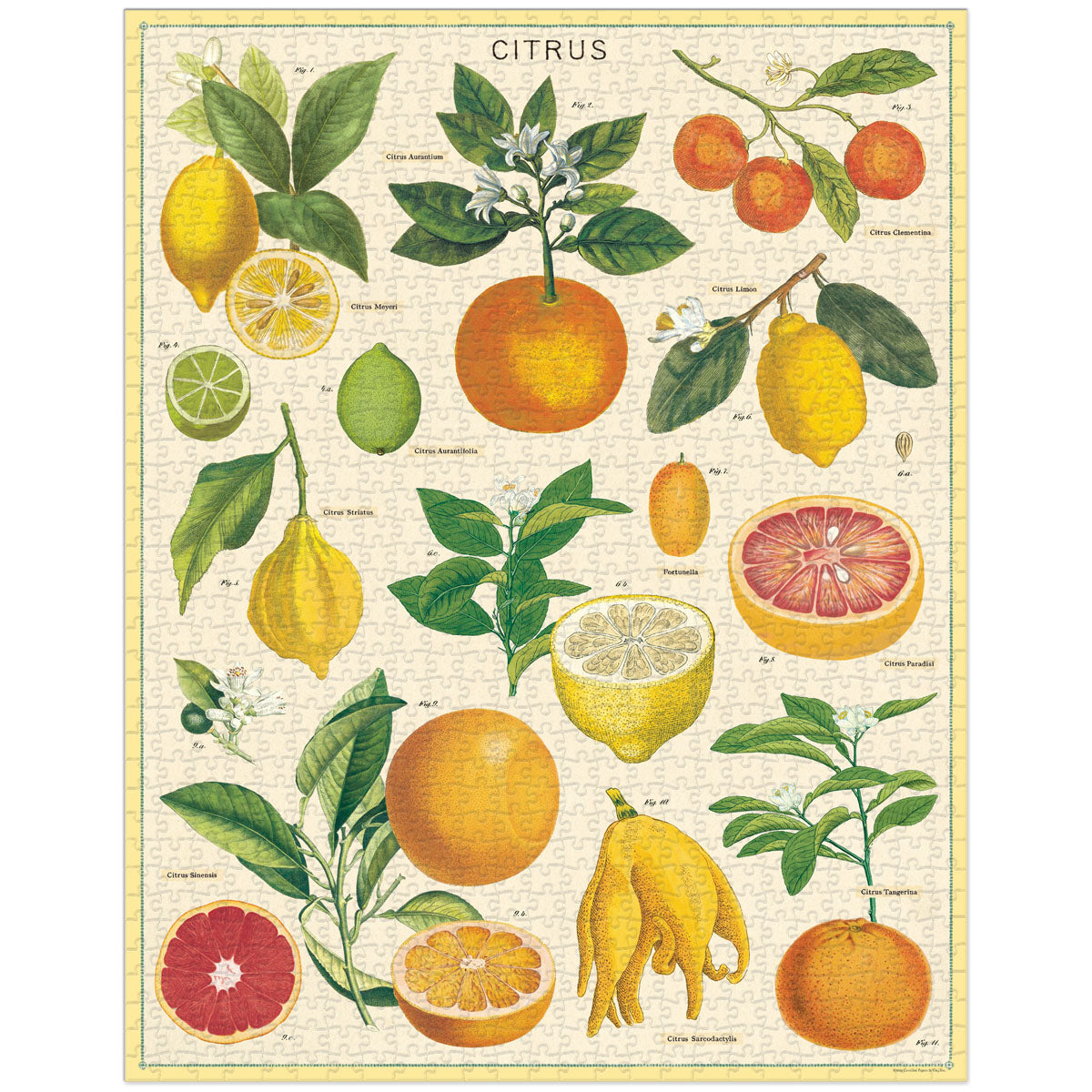 Rompecabezas Citrus
