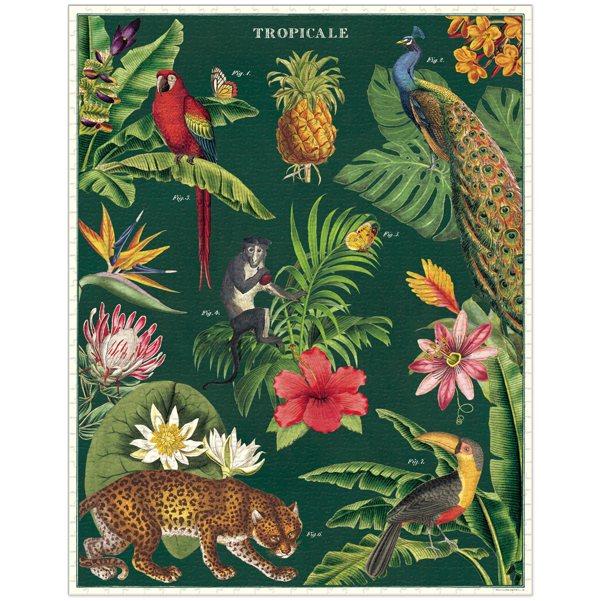 Rompecabezas Tropicale