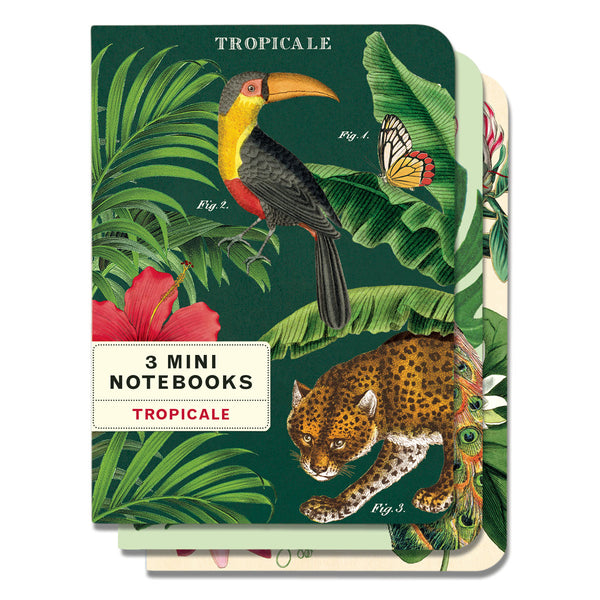 Mini Libreta Set de 3 Tropicale