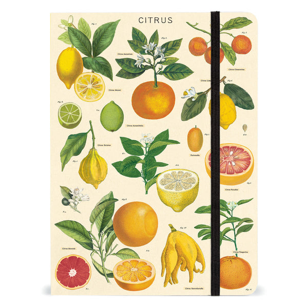 Libreta Grande Citrus
