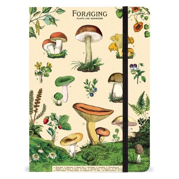Libreta Grande Foraging