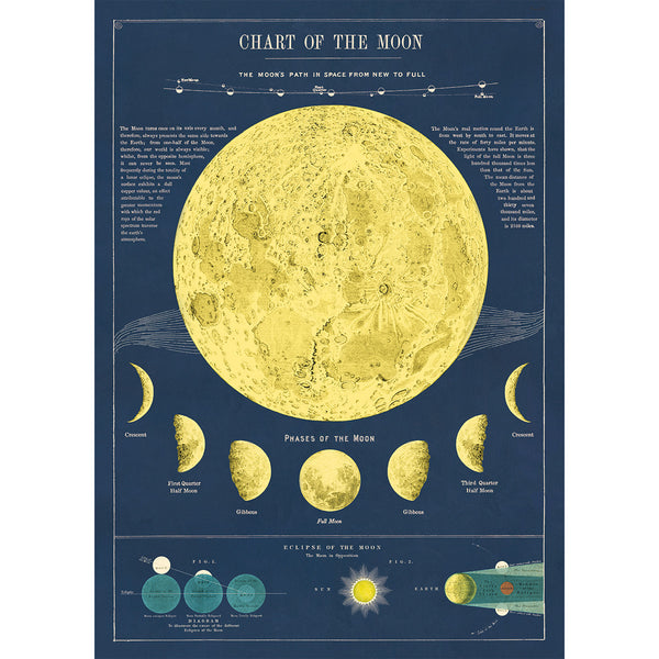 Póster decorativo en papel italiano Moon Chart