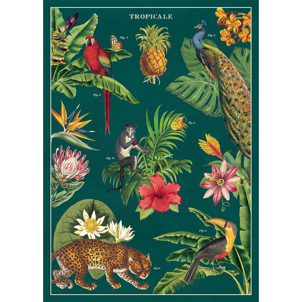 Póster decorativo en papel italiano Tropicale