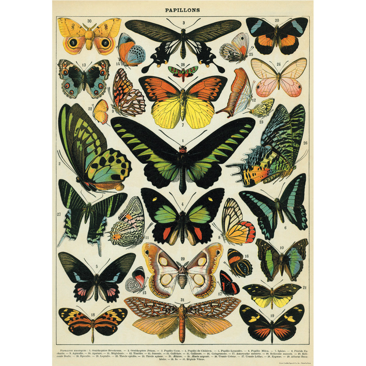 Papel Decorativo Butterflies