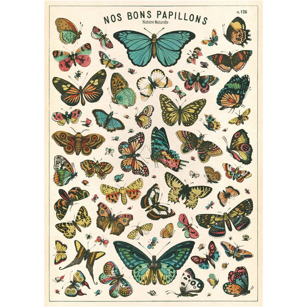 Póster decorativo en papel italiano Butterfly Chart