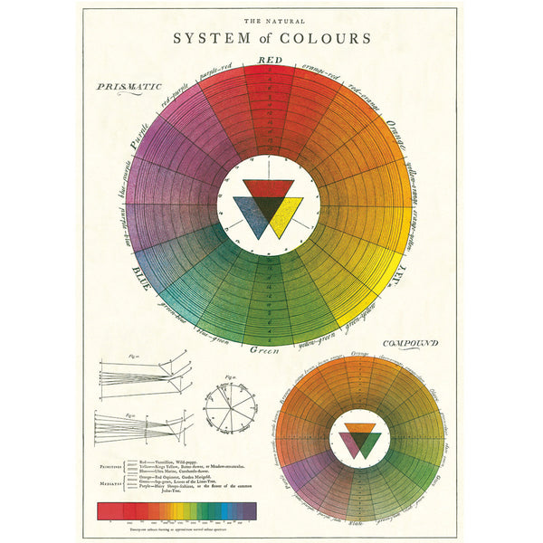 Póster decorativo en papel italiano Color Wheel