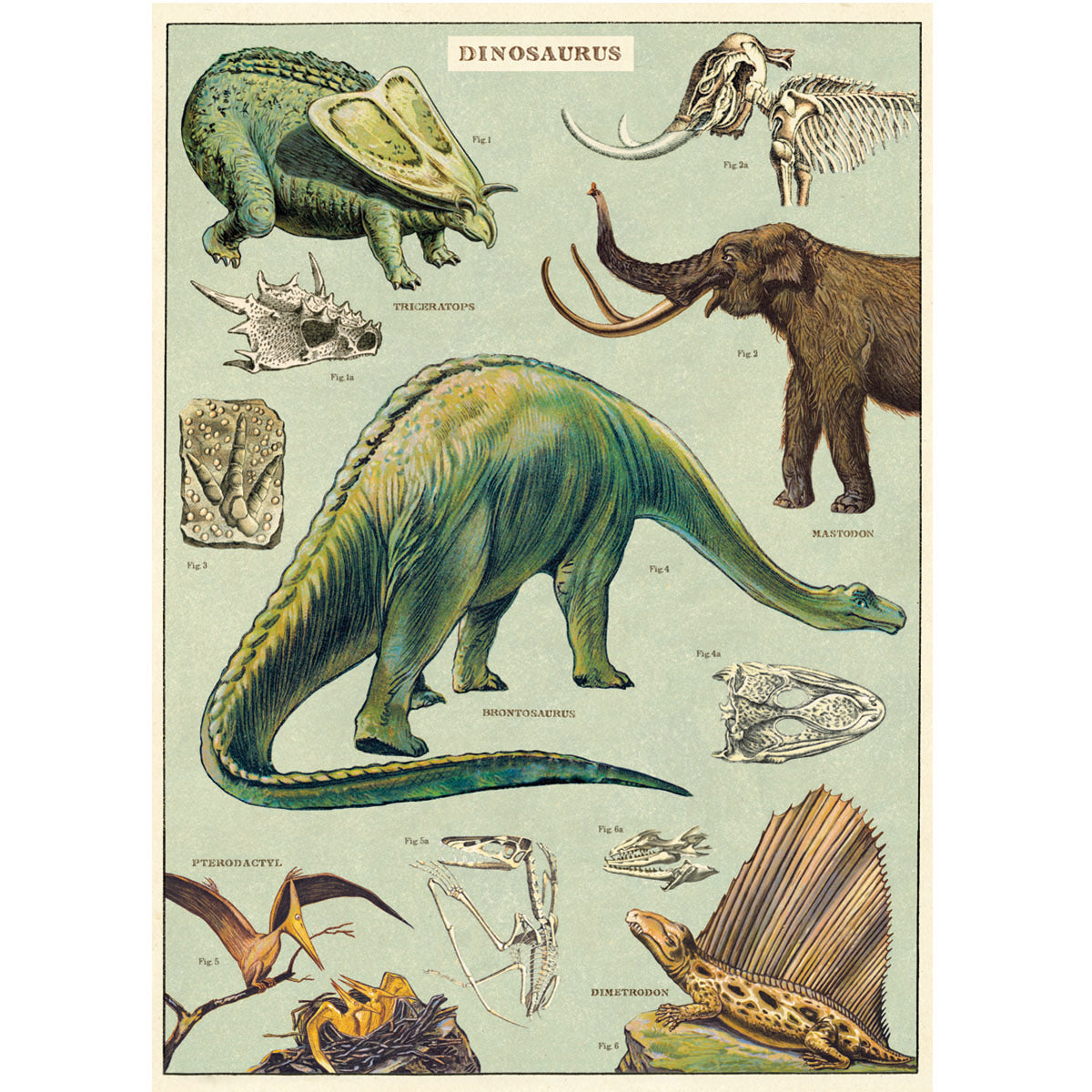 Papel Decorativo Dinosaurs