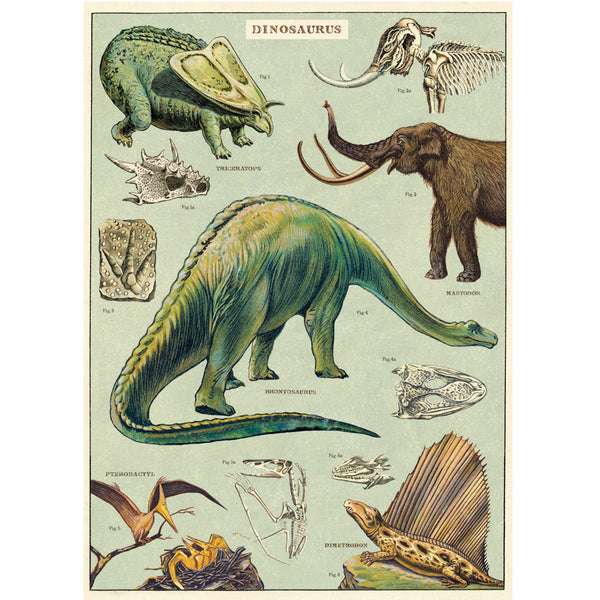 Póster decorativo en papel italiano Dinosaurs