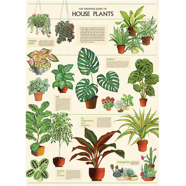 Póster decorativo en papel italiano House of Plants