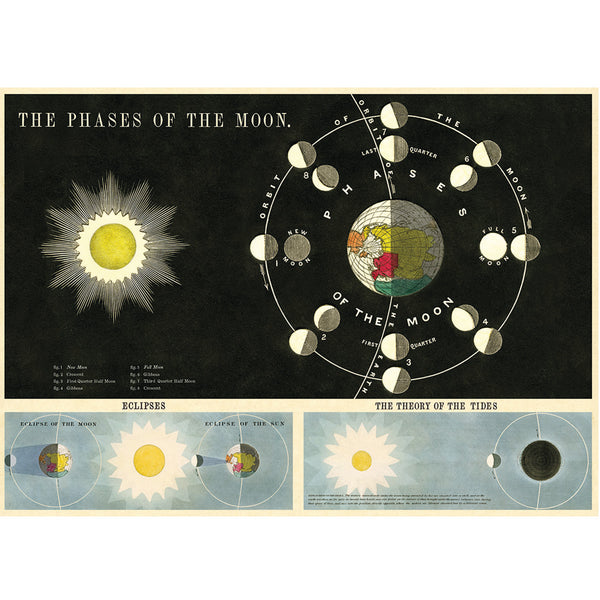 Póster decorativo en papel italianoPhases of the Moon